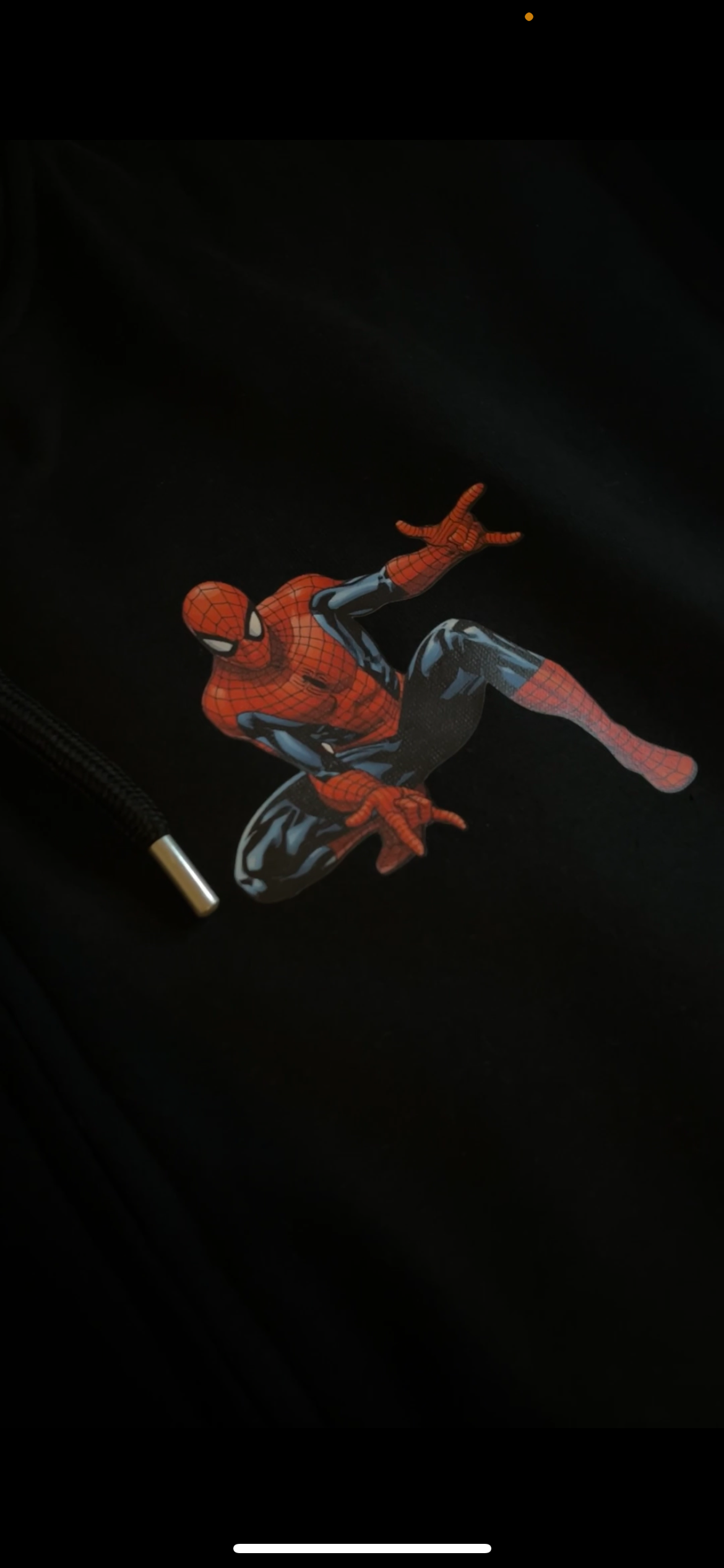 Black Spider-man Zip-up Hoodie