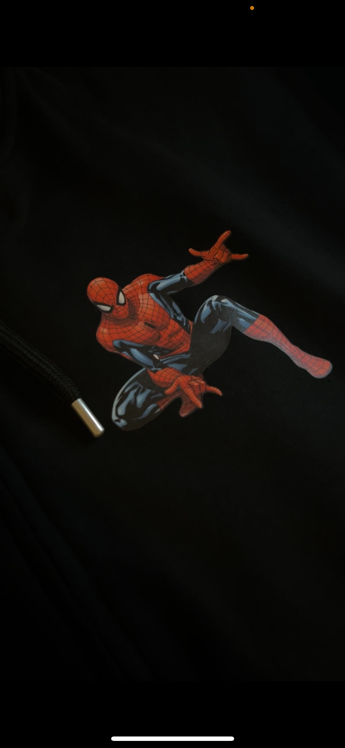 Black Spider-man Zip-up Hoodie